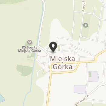 Stowarzyszenie Dzieci i Osób Niepełnosprawnych na mapie