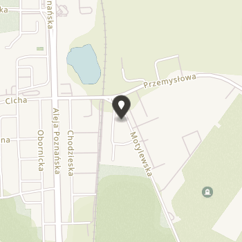 Związek Stowarzyszeń Pilski Bank Żywności na mapie