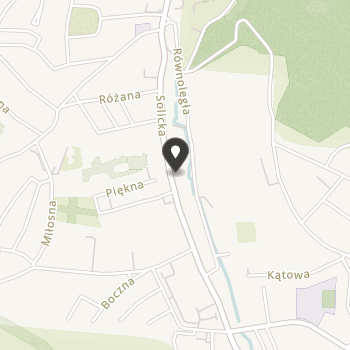 Dolnośląskie Stowarzyszenie Osób Niepełnosprawnych na mapie