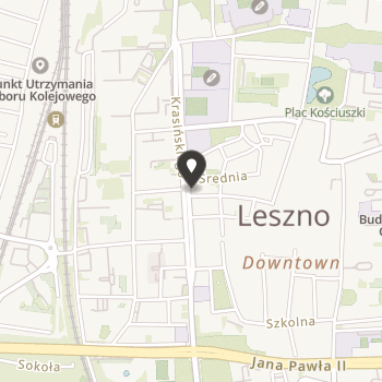 Leszczyńskie Stowarzyszenie "Dzieciom Niepełnosprawnym" na mapie