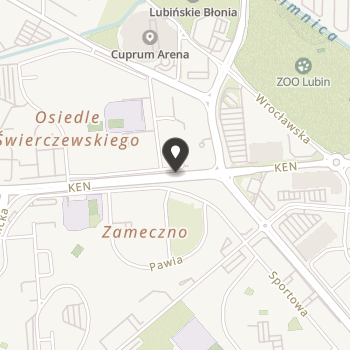 Lubińskie Stowarzyszenie Twórców Kultury na mapie