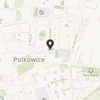 Polkowickie Stowarzyszenie Pomocy Dzieciom Specjalnej Troski "Radosne Serca" na mapie