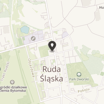 Rudzkie Stowarzyszenie Inicjatyw Niebanalnych "In-Ni" na mapie