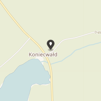 Stowarzyszenie Pomocy Dzieciom i Młodzieży Niepełnosprawnej w Koniecwałdzie na mapie