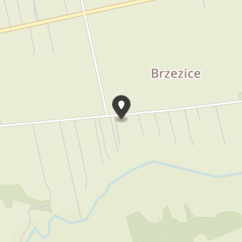 Ochotnicza Straż Pożarna w Brzezicach na mapie