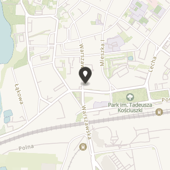 Stowarzyszenie "Wielkopolanie" na mapie