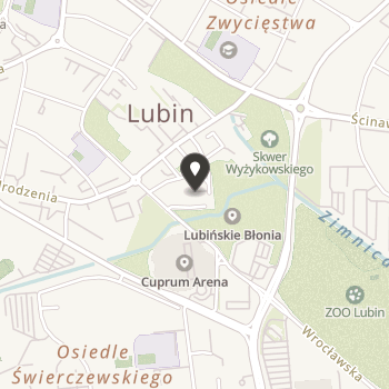 Oddział Stowarzyszenia Współpracowników Salezjańskich Wspólnota Lokalna "Lubin - Centrum" na mapie
