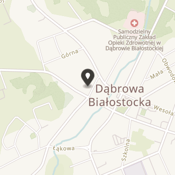 Stowarzyszenie na Rzecz Osób Niepełnosprawnych "Radość Życia" na mapie