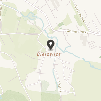 Stowarzyszenie Rodzicielstwa Zastępczego "Betlejem" w Nowym Sączu na mapie
