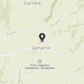 Stowarzyszenie "Lutnia" na mapie