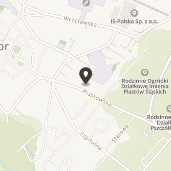 Stowarzyszenie na Rzecz Domu Małych Dzieci w Jaworze na mapie