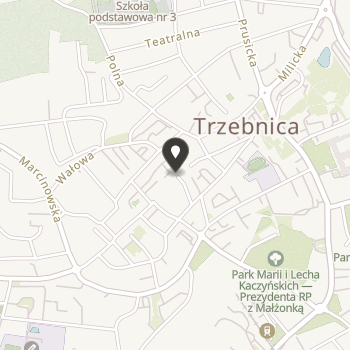 Trzebnickie Stowarzyszenie Uśmiech Dziecka na mapie