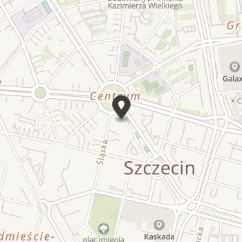 Towarzystwo Przyjaciół Dzieci Zachodniopomorski Oddział Regionalny w Szczecinie na mapie