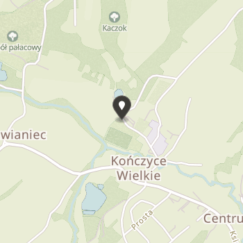 Ludowy Klub Sportowy "Błyskawica" Kończyce Wielkie na mapie