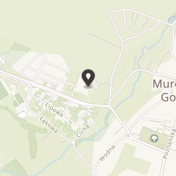 Goślińskie Stowarzyszenie Przyjaciół Osób Niepełnosprawnych na mapie