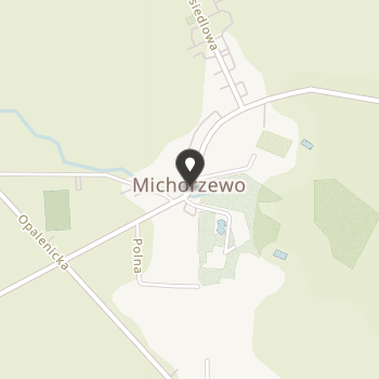 Wielkopolskie Towarzystwo Stwardnienia Rozsianego i Udaru Mózgu na mapie