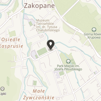 Towarzystwo Edukacji Artystycznej w Zakopanem na mapie
