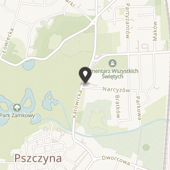Ochotnicza Straż Pożarna w Pszczynie na mapie
