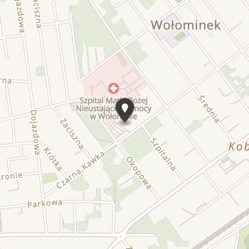 Wołomińska Fundacja na Rzecz Zapobiegania Ślepocie na mapie