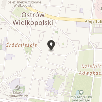 Ostrowskie Stowarzyszenie Miłośników Zwierząt na mapie