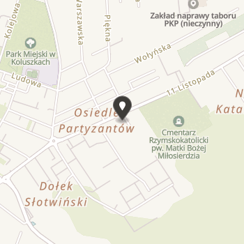 Fundacja Aktywności Twórczej Dzieci i Młodzieży "Pro Muza" na mapie