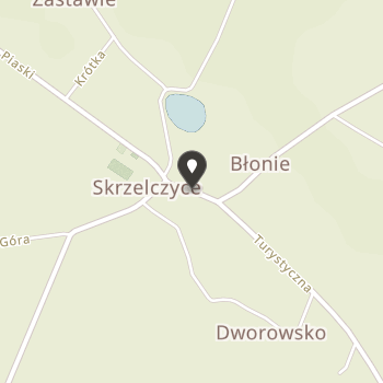 Stowarzyszenie Oświatowo-Kulturalne w Skrzelczycach na mapie