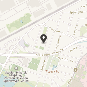 Towarzystwo Pomocy Dzieciom Ze Specjalnego Ośrodka Szkolno-Wychowawczego w Pruszkowie na mapie