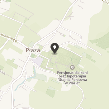 Stajnia Pałacowa w Płazie na mapie