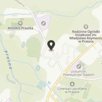 Zakładowy Klub Sportowy "Motor" Praszka na mapie