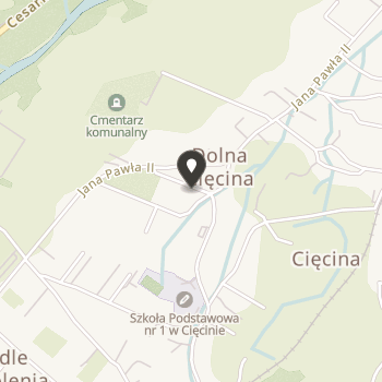 Stowarzyszenie Ochrony Zabytków i Rozwoju Cięciny - Magura - w Cięcinie na mapie