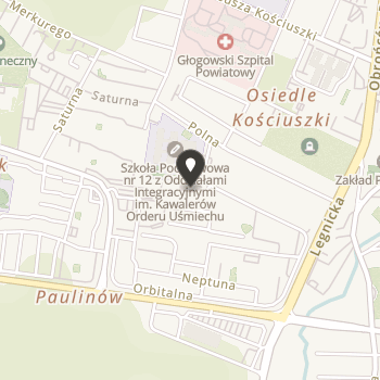 Stowarzyszenie na Rzecz Dzieci i Młodzieży z Porażeniem Mózgowym i Zespołem Downa "Dajmy Dzieciom Nadzeję" na mapie