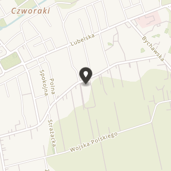 Stowarzyszenie Społecznej Szkoły Muzycznej im. H. Wieniawskiego na mapie