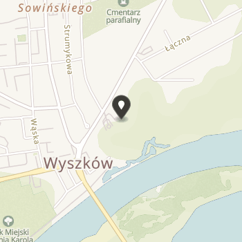 Fundacja "Idzik" na mapie