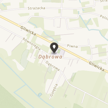 Klub Sportowy Burza Borowa Wieś na mapie