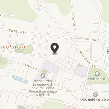 Stowarzyszenie na Rzecz Rozwoju Dzieci i Młodzieży przy Parafii Najświętszego Zbawiciela w Rykach na mapie