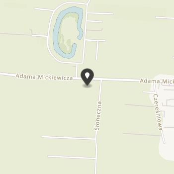 Zdrowa Młodzież na mapie