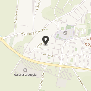 Polskie Stowarzyszenie na Rzecz Osób z Niepełnosprawnością Intelektualną - Koło w Głogowie na mapie
