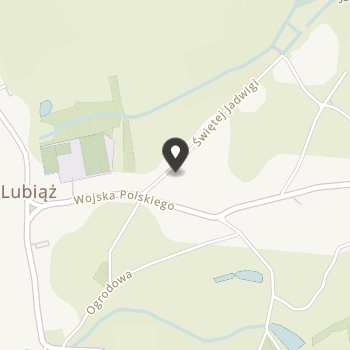 Stowarzyszenie Lubiąż na mapie