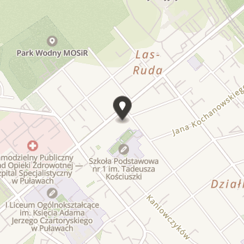 Puławskie Stowarzyszenie na Rzecz Dzieci Potrzebujących Pomocy i Ich Rodzin "Tęcza" na mapie