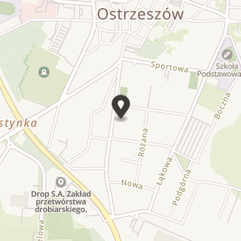 Stowarzyszenie Radość Niepełnosprawnym na mapie