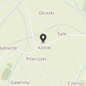 Babiogórskie Stowarzyszenie Zielona Linia na mapie