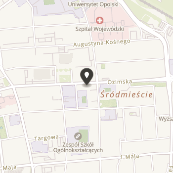 Piastun-Fundacja na Rzecz Dzieci i Młodzieży na mapie