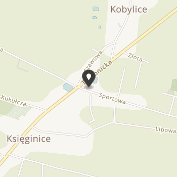 Trzebnickie Stowarzyszenie Sportowo-Rekreacyjne "Polonia" w Trzebnicy na mapie