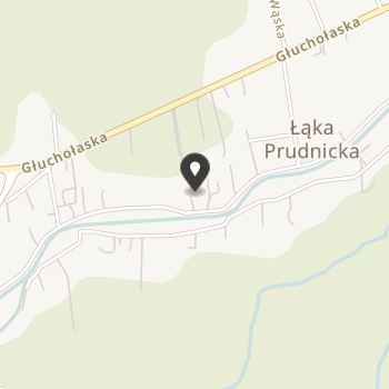 Stowarzyszenie Rozwoju i Promocji Wsi Łąka Prudnicka "Złoty Potok" na mapie