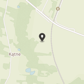 Fundacja Azylu Koci Świat na mapie