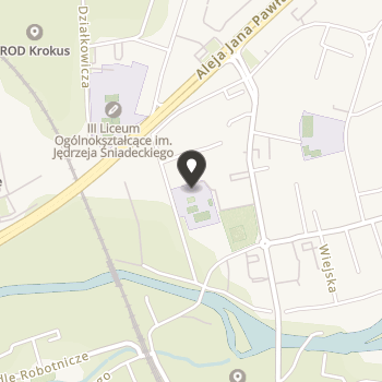 Pomoc w Integracji Uczniów Szkoły Podstawowej nr 8 na mapie