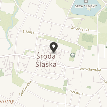 Stowarzyszenie "Nie Jesteś Sam" na mapie