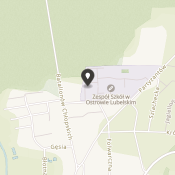 Stowarzyszenie Inicjatyw Edukacyjnych "Pro Educatio" na mapie