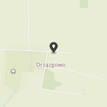 Stowarzyszenie Dzieci i Młodzieży Niepełnosprawnych "Razem" w Drzązgowie na mapie