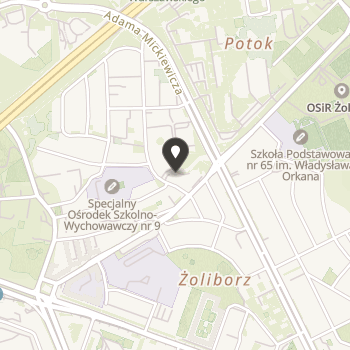 Stowarzyszenie Pomocy Chorym na Gist na mapie